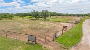 930 County Road 161 Road - Photo 27