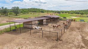 930 County Road 161 Road - Photo 30