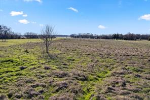 1550 County Road 1136 - Photo 3