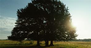 0000 County Road 3908 - Photo 4