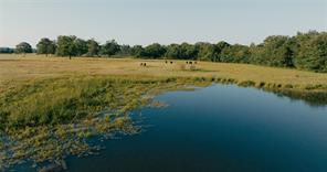 0000 County Road 3908 - Photo 7