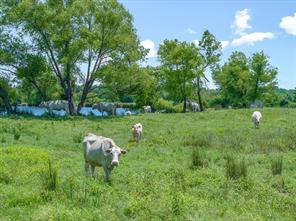 3300 Vz County Road 1903 - Photo 3