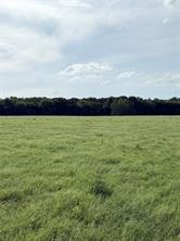 580 VZ County Road1819 - Photo 5
