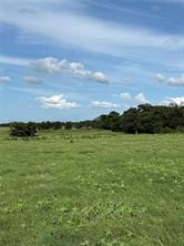 580 VZ County Road1819 - Photo 8