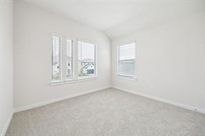 207 Whitlow Drive - Photo 24
