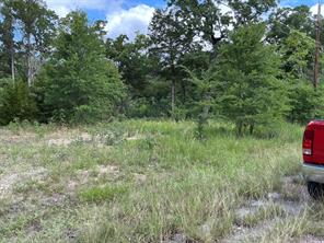 175 Chillacothe Trail - Photo 2