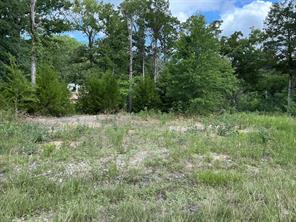 175 Chillacothe Trail - Photo 3