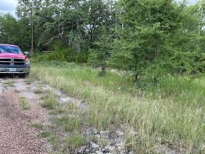 175 Chillacothe Trail - Photo 4