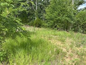 175 Chillacothe Trail - Photo 5