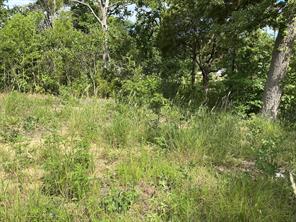 175 Chillacothe Trail - Photo 6