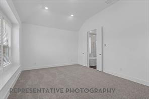 3708 American Paint Drive - Photo 10
