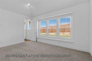 3708 American Paint Drive - Photo 12