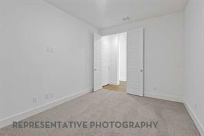 3708 American Paint Drive - Photo 19