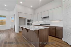 3708 American Paint Drive - Photo 2