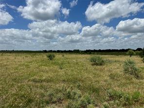5 Pecan Valley Drive - Photo 6