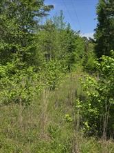 TBD County Road 421 - Photo 1