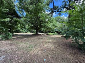7813 Lowery Road - Photo 1