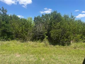 36059 Cedar Ridge Drive - Photo 1