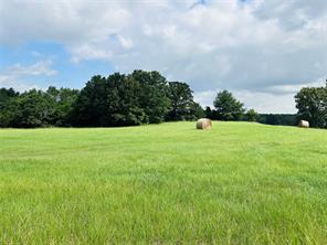 TBD Belles Lane - Photo 1