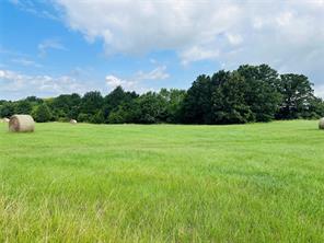 TBD Belles Lane - Photo 2