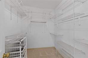 3717 Legendary Lane - Photo 23