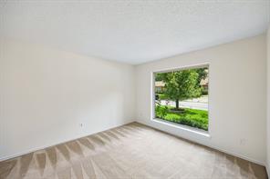 1908 Scarlett Court - Photo 20