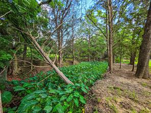 1900 Haymarket Road - Photo 16