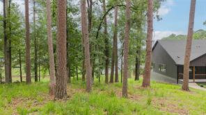 0000 Naus Drive - Photo 7