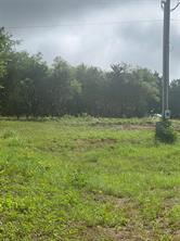 7101 S Highway 171 - Photo 4