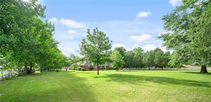 14226 County Road 434 - Photo 2