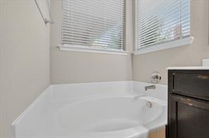 419 Red Sage Lane - Photo 15