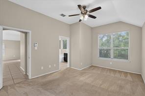 419 Red Sage Lane - Photo 18