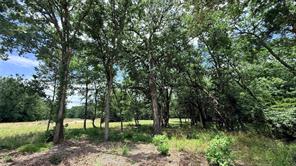 TBD Private Road 5440 - Photo 6