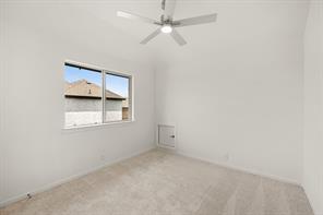 321 Atlas Cedar Drive - Photo 35