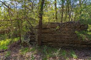 TBD CR 224 - Photo 30