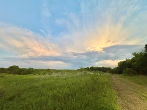 670 Independence Springs - Photo 1