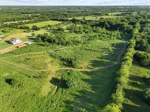 670 Independence Springs - Photo 11
