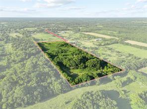 670 Independence Springs - Photo 14