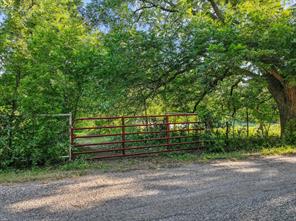 670 Independence Springs - Photo 19