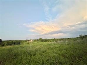 670 Independence Springs - Photo 2