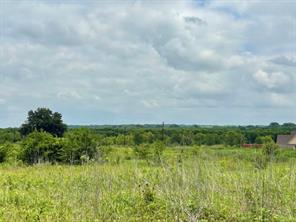 670 Independence Springs - Photo 4