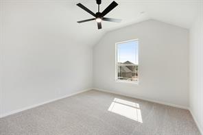 221 Fireberry Drive - Photo 32