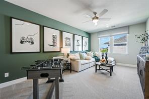 709 Cumulus Court - Photo 18