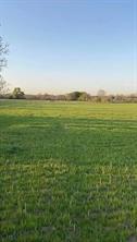 Lot 1 County Road 3424 - Photo 1