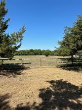 41 Man O War Lane - Photo 7