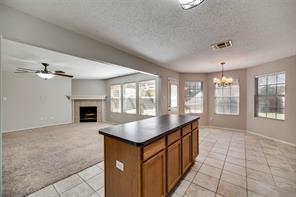 9913 George Bush Drive - Photo 6