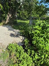 602 Seven Oaks Road - Photo 5