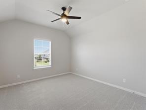 812 Taliaferro Trail - Photo 24