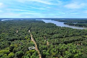 58 Cypress Creek Dr. - Photo 1
