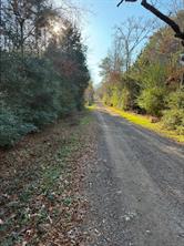 TBD-D County Road 216 - Photo 1
